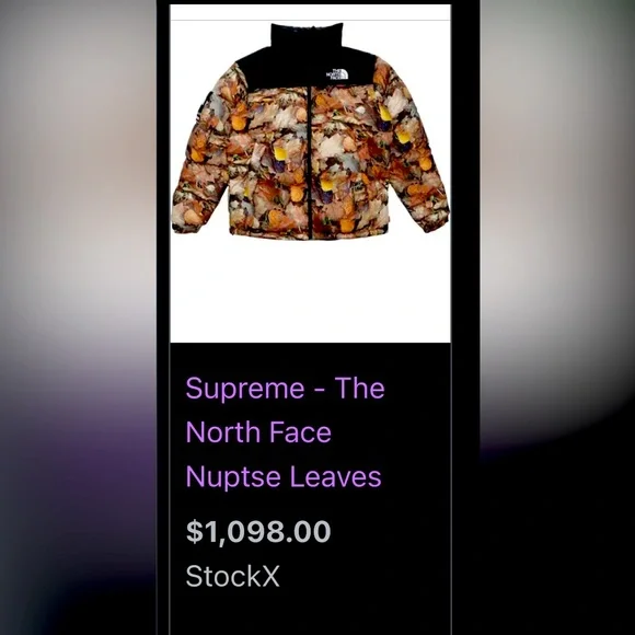 Rare Supreme X The North Face Nuptse “Leaves” FW16 700 Fill Ski